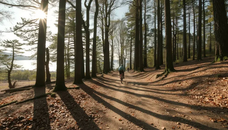 Forêt domaniale de Mervent-Vouvant : le guide des randonnées, activités et loisirs en Vendée