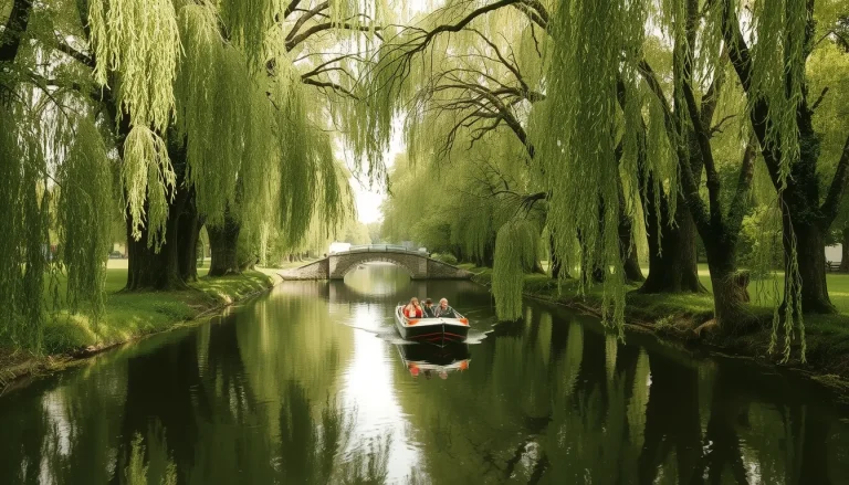 Parc naturel Marais poitevin : guide complet du territoire, activités et patrimoine